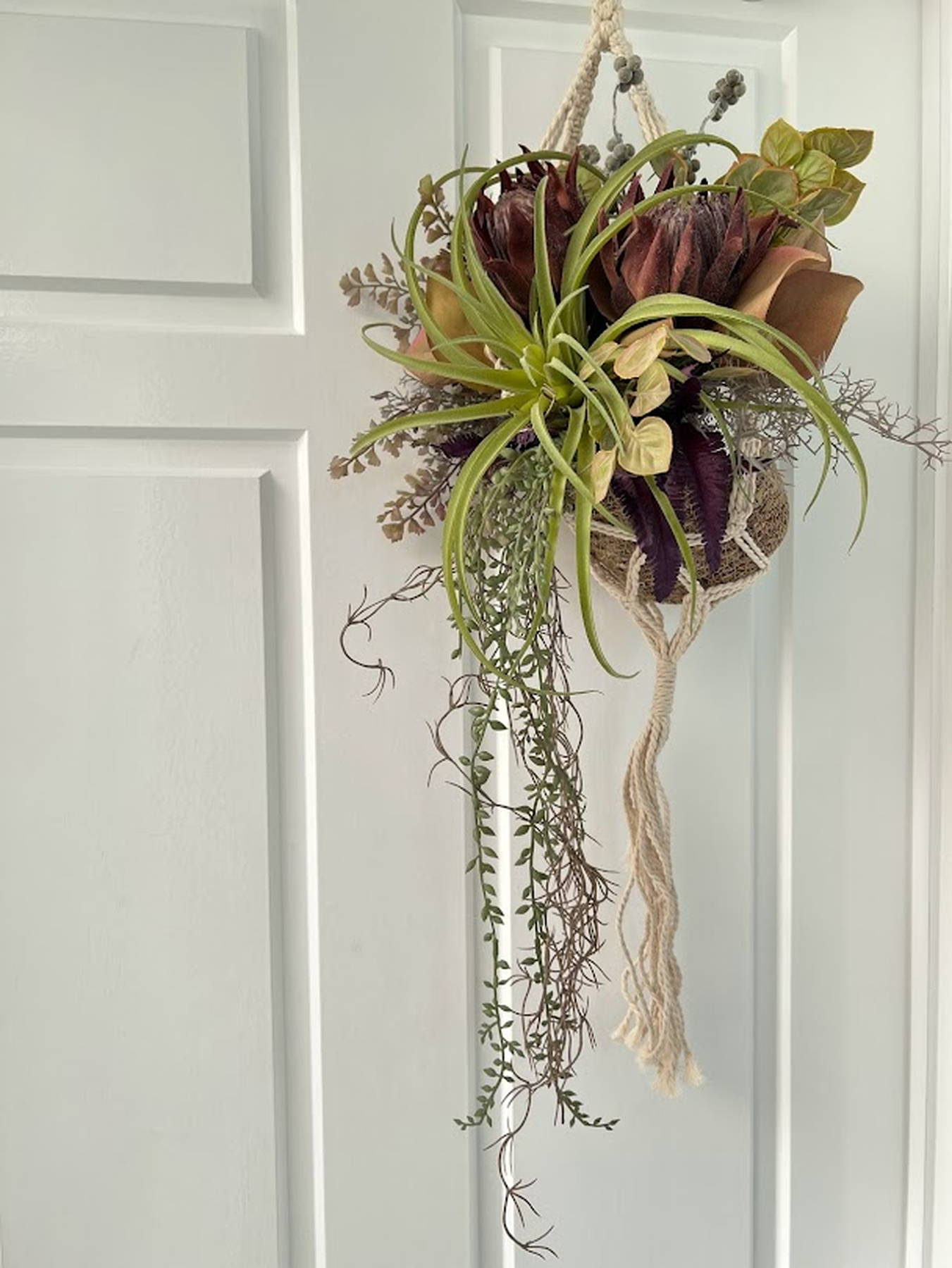 在庫整理‼️プロテアなど PROTECA／プロテカ スタリアCXR 02352 スーツケース 日本製 52L