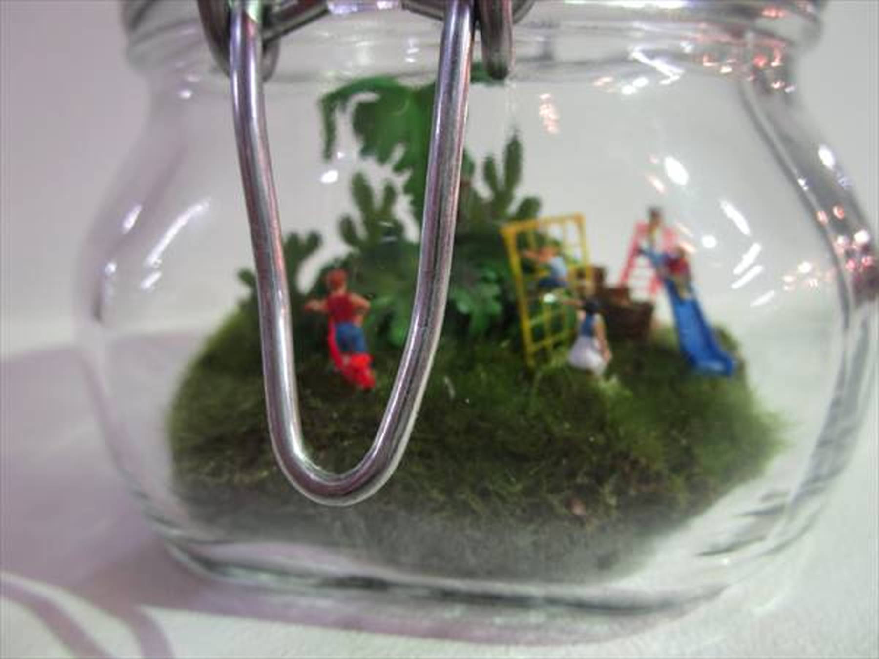 苔テラリウム（公園）｜横浜ディスプレイミュージアム