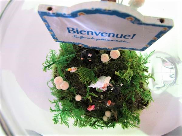 苔テラリウム（Wedding）｜横浜ディスプレイミュージアム