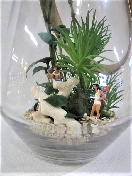 苔テラリウム（サマーハイキング）｜横浜ディスプレイミュージアム