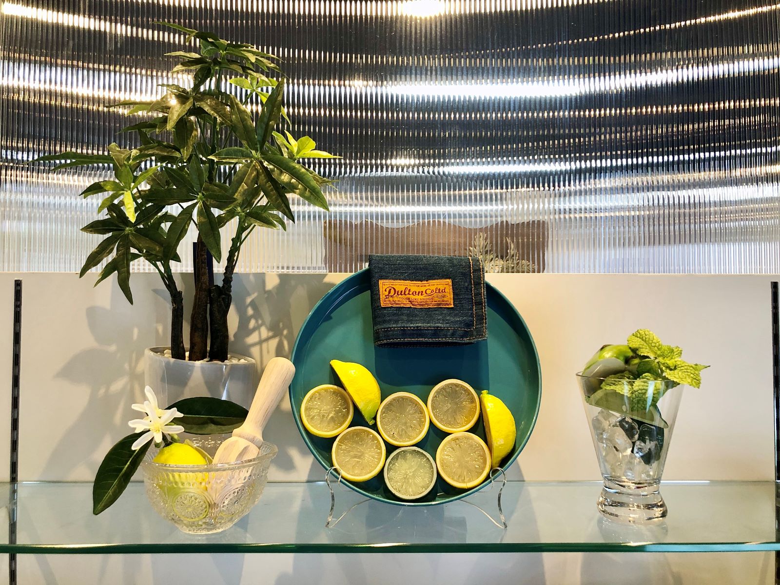 れもんページ レモンプリントシャツ | AXES-X＆REZEN -outlet- | axes femme