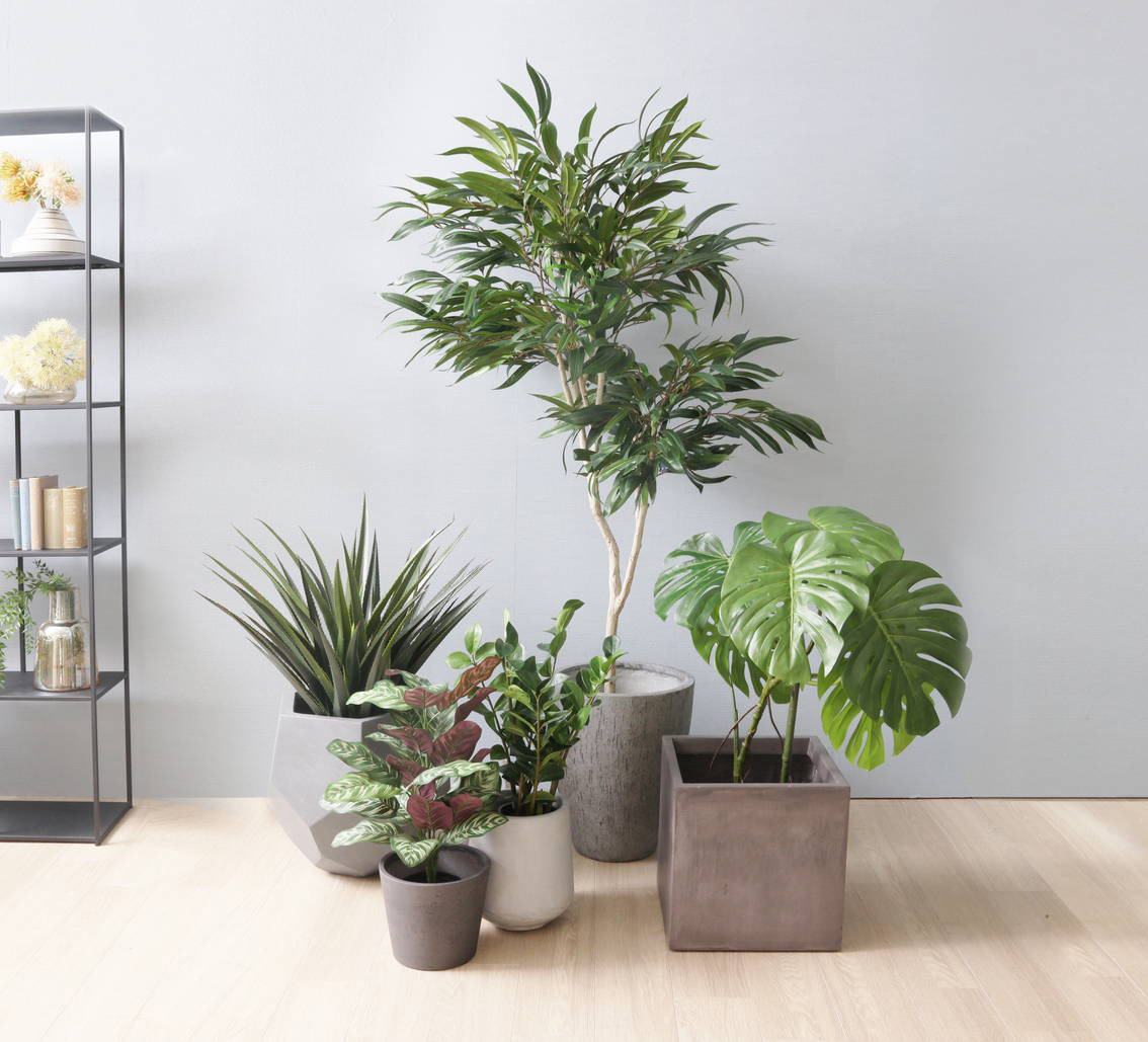 湘南ゴム　リビングサイズ 湘南ゴム リビングサイズ