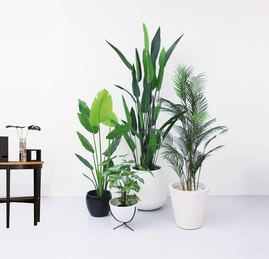 飾りたな Amazon | 【Piece of peace product】 サイドスタンド ホンダ DIO ZX