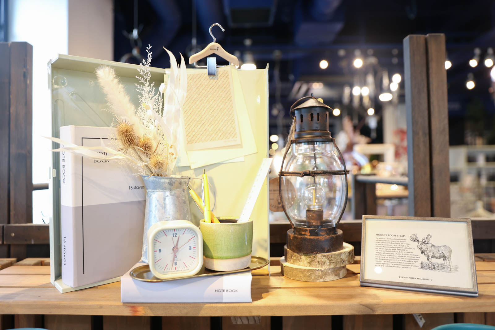 ｽﾁｰﾙﾐﾙｸﾋﾟｯﾁｬｰM: フラワーベース・鉢カバー ｜ YDMオンラインストア