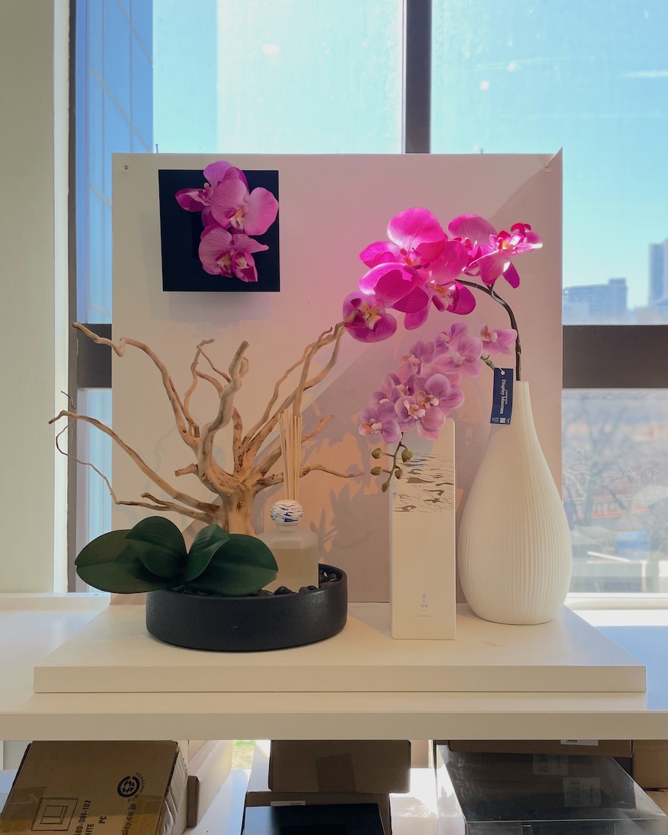 国1573 375ml 52% vol セット Aer Vase33の通販 / マスターウォール