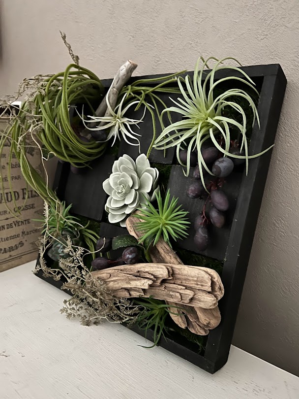 ﾁﾗﾝｼﾞｱ: クイックオーダーでのみ販売 ｜ YDMオンラインストア