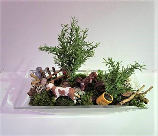 苔テラリウム（牧場）｜横浜ディスプレイミュージアム