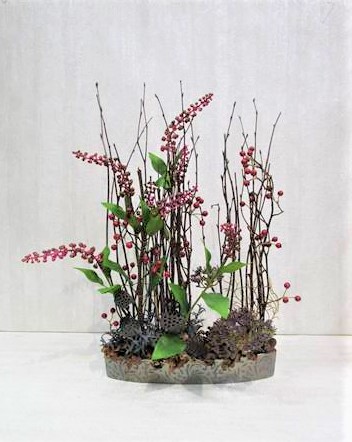 白樺小枝 70cm N: ドライフラワー ｜ YDMオンラインストア