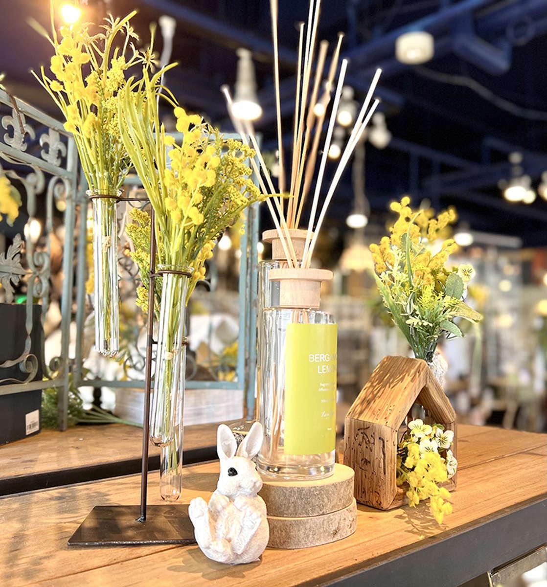 ライフスタイルショップのディスプレイイメージ｜横浜ディスプレイ