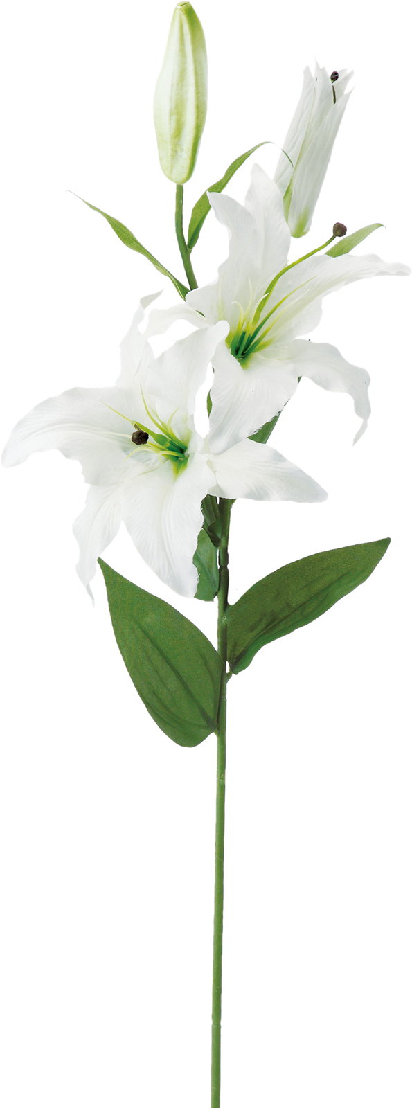 ｶｻﾌﾞﾗﾝｶ*2: 造花（アーティフィシャルフラワー） ｜ YDMオンライン