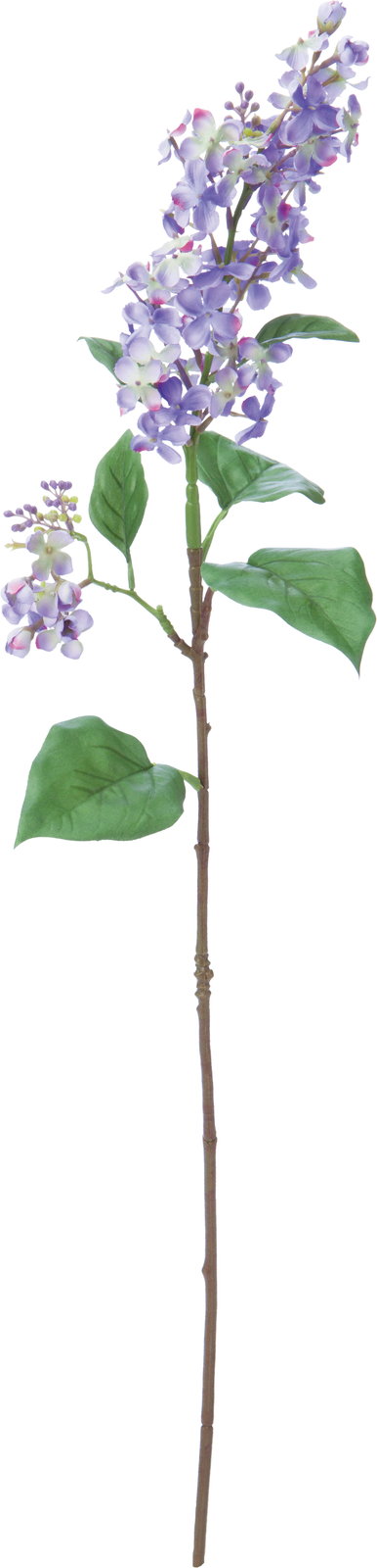 ﾗｲﾗｯｸ: 造花（アーティフィシャルフラワー） ｜ YDMオンラインストア