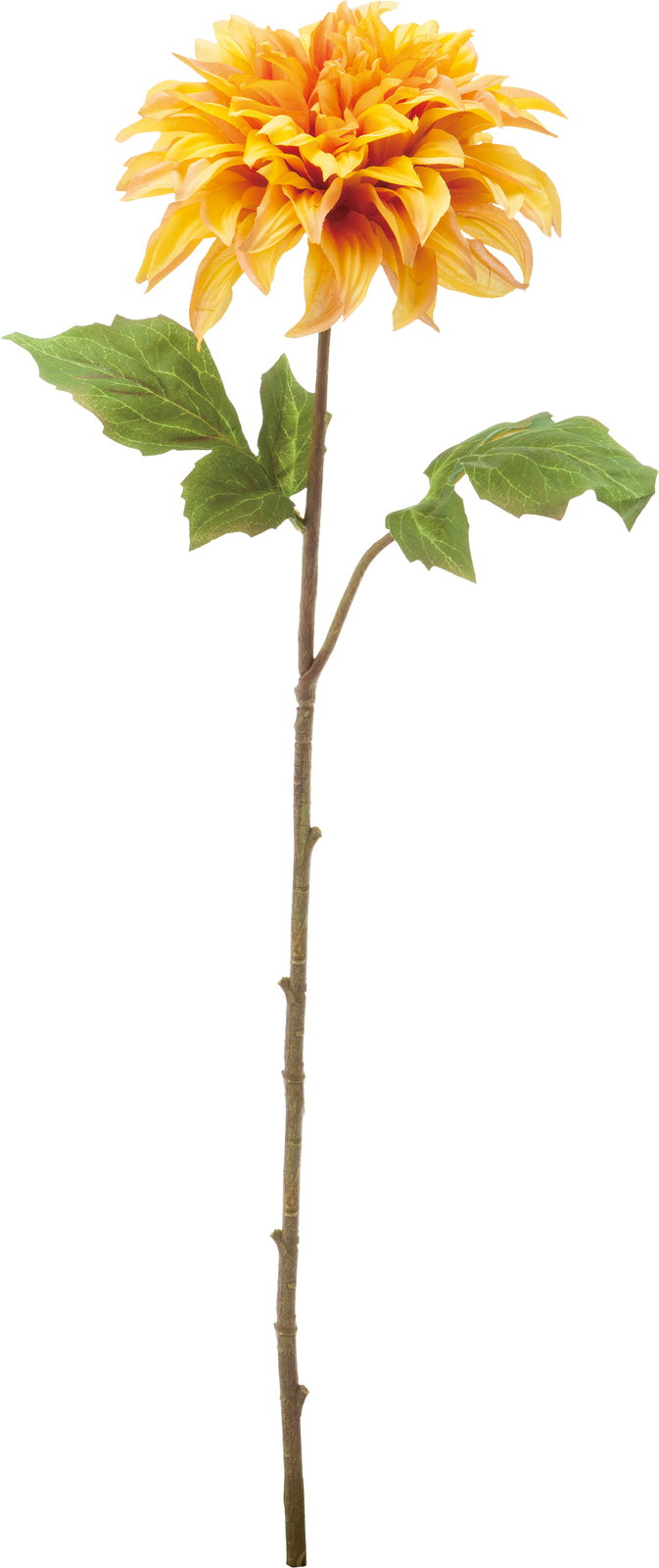 ダリアを使ったレストランの夏のディスプレイイメージ｜横浜