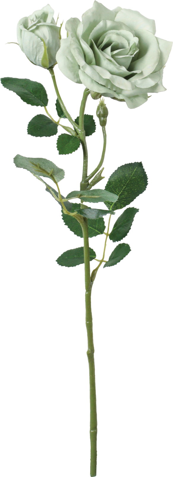 flowers for algernon 様取り置き専用　エグゾト 934 Amazon.co.jp: マルエス 浄蓮花セット フロストホワイト : ホーム