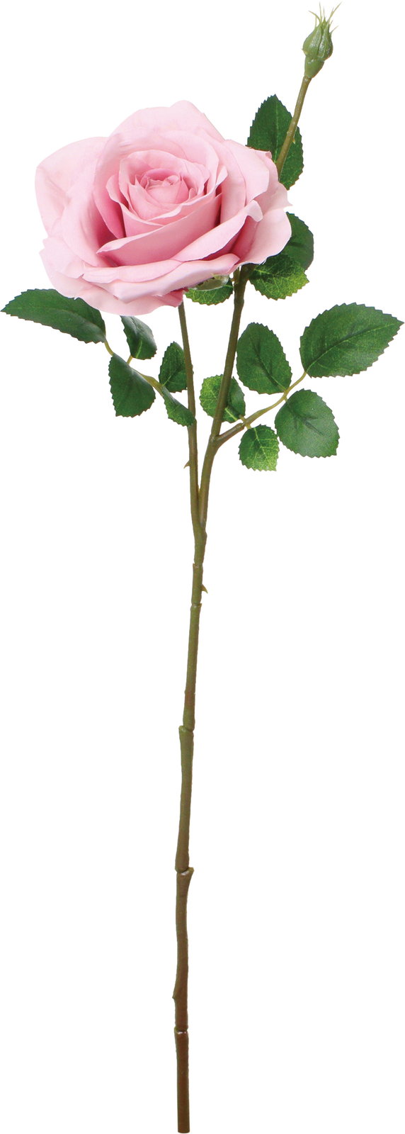 ｺﾝﾌｫｰﾄﾒﾘｱﾛｰｽﾞ: 造花（アーティフィシャルフラワー） ｜ YDMオンライン