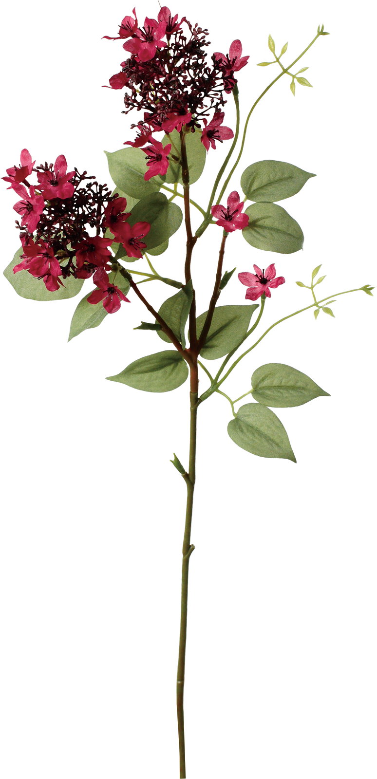 ｸﾚｰﾙﾌﾞｯﾄﾚｱｽﾌﾟﾚｰ: 造花（アーティフィシャルフラワー） ｜ YDM