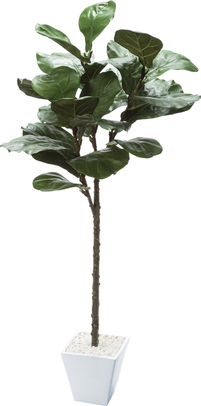GLA1501_GR.jpg