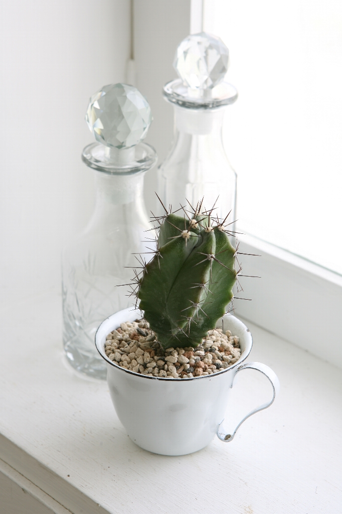 コーヒーショップ｜横浜ディスプレイミュージアム