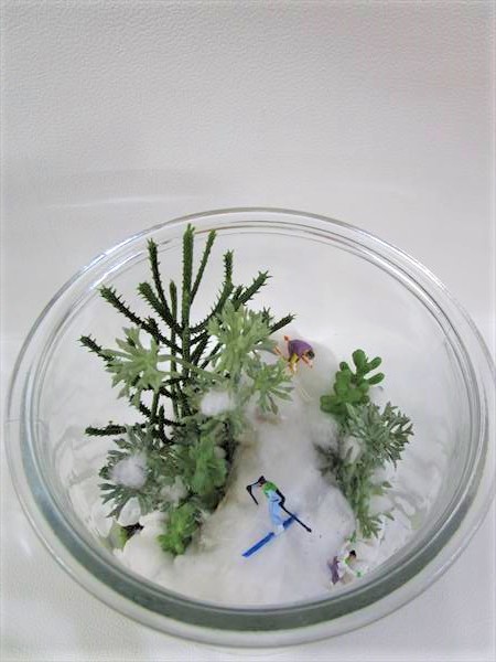 苔テラリウム（スキー）｜横浜ディスプレイミュージアム