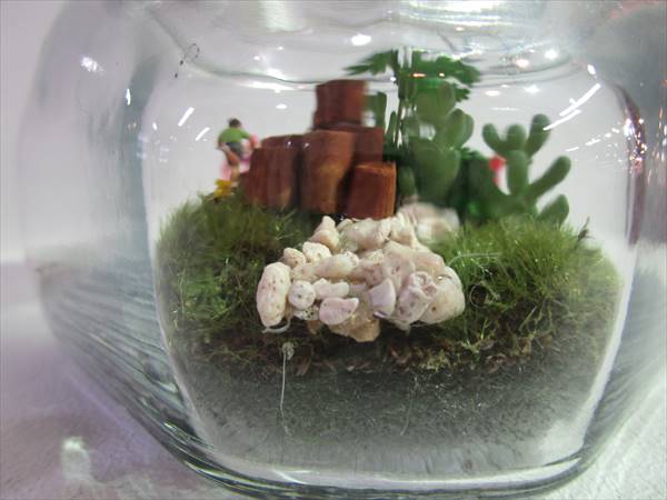 苔テラリウム 苔テラリウム - 人生100年チャレンジ