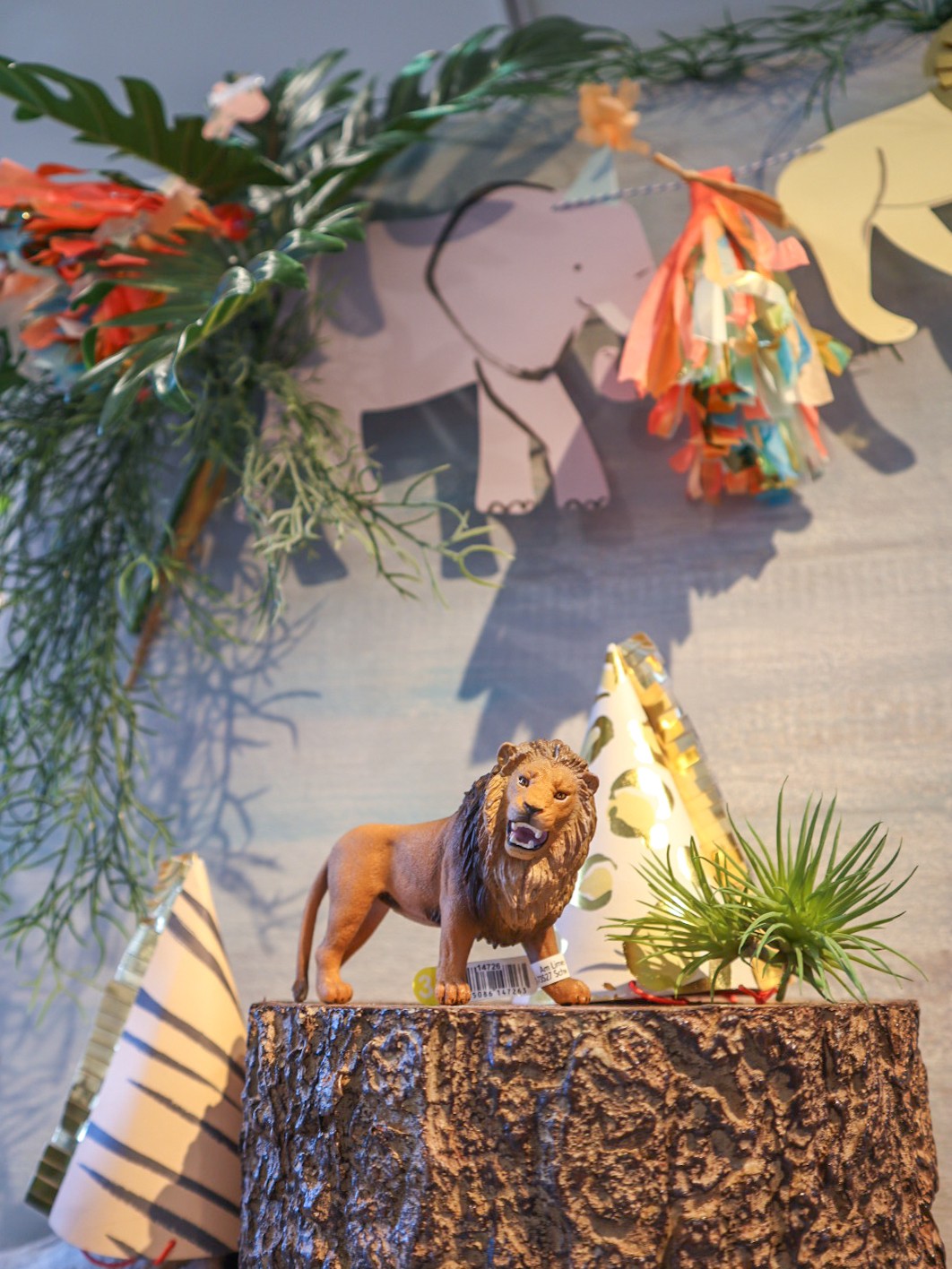 フォトスタジオのディスプレイイメージ｜横浜ディスプレイミュージアム