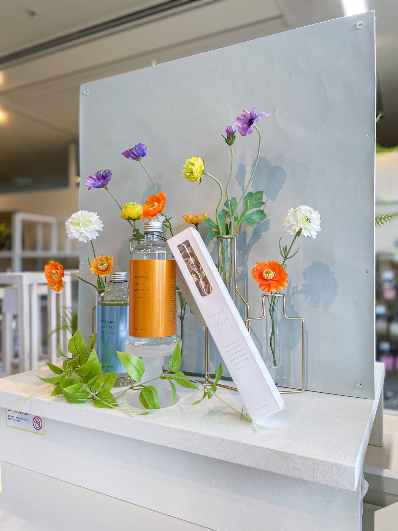 ライフスタイルショップのディスプレイイメージ｜横浜ディスプレイ