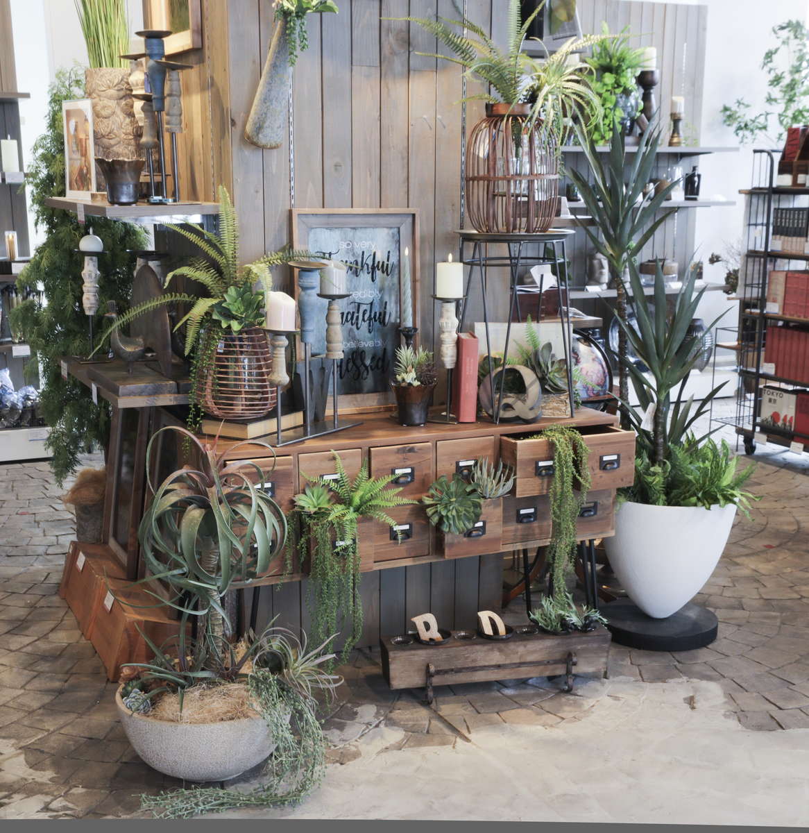 ミセスポット ユニークなポットとグリーン｜横浜ディスプレイミュージアム