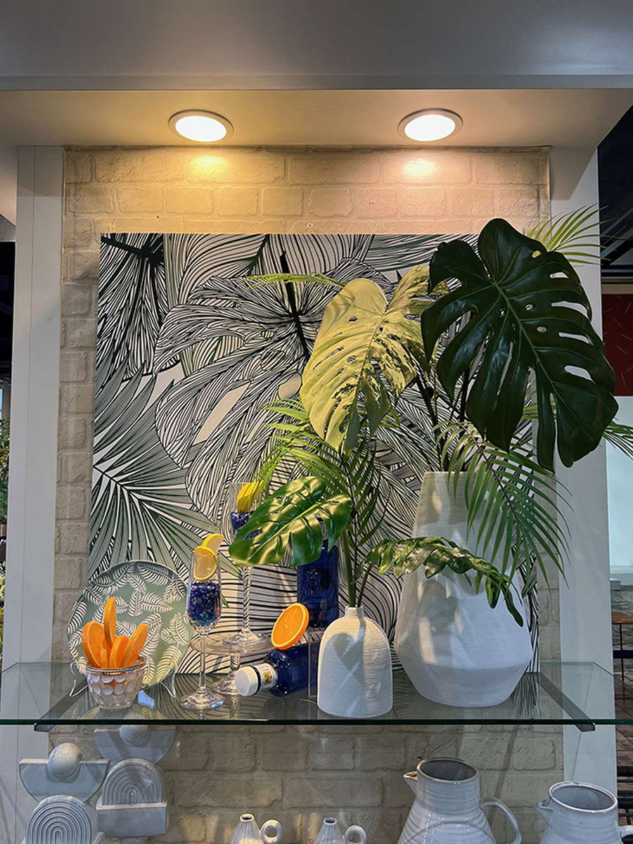 ﾓﾝｽﾃﾗﾊﾞﾘｴｶﾞｰﾀﾘｰﾌM: フェイクグリーン ｜ YDMオンラインストア ｜ 横浜