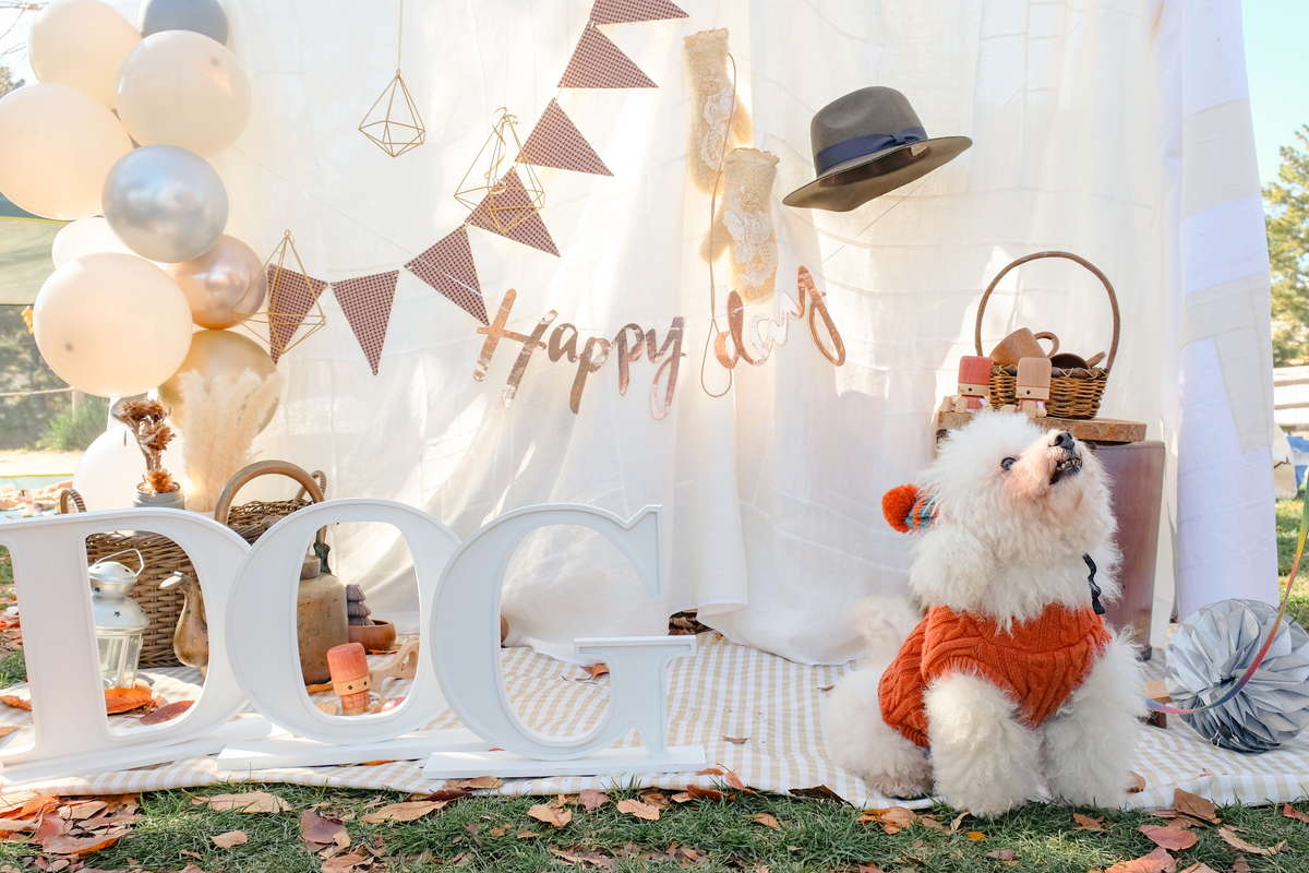 れい様確認用☆アルファベットオブジェ imgrc0072864735.jpg