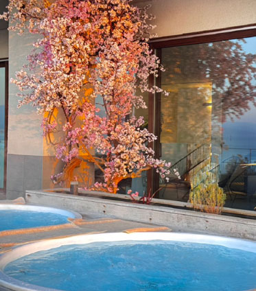 Sakura (Cherry Blossom) Retreat