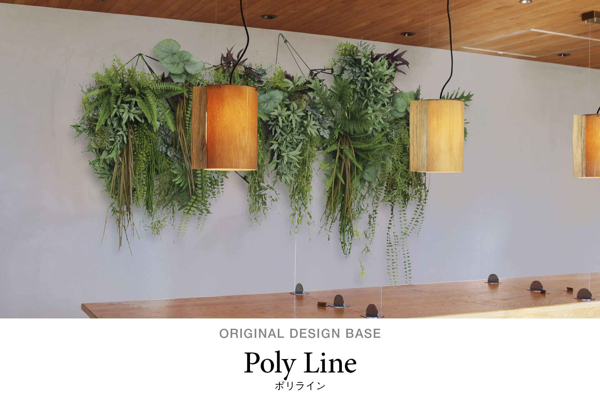 PolyLine