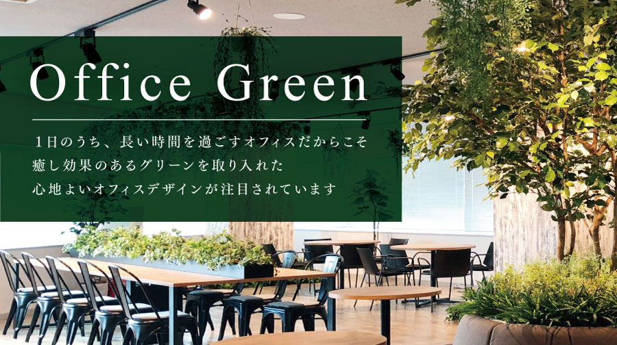 オフィスグリーン特集