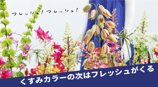 春夏カタログ出版