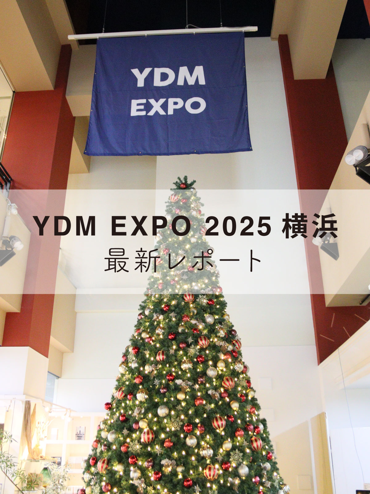YDM EXPO 2025