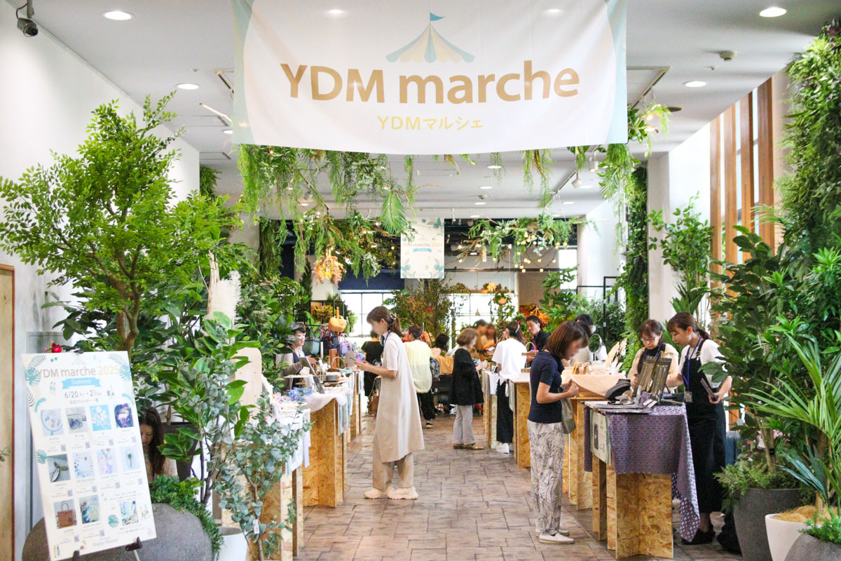 YDM EXPO 2025