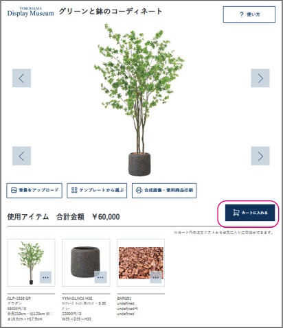 購入画面