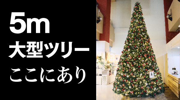 5mツリー