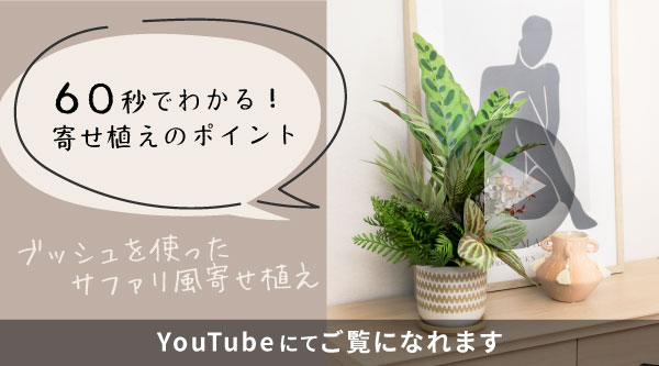 グリーンの寄せ植え