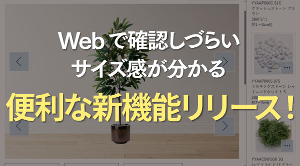 樹木と鉢の組み合わせ