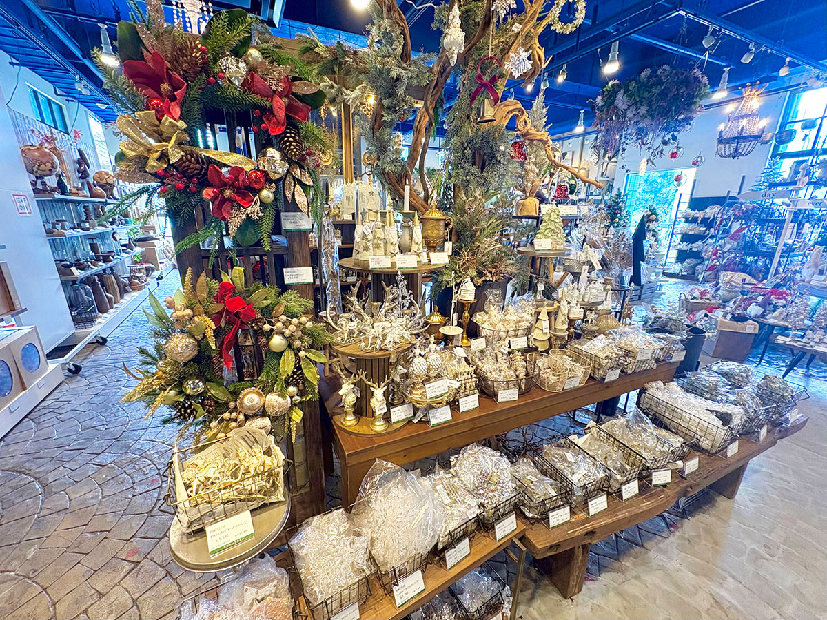 クリスマスハルモニア/画像1