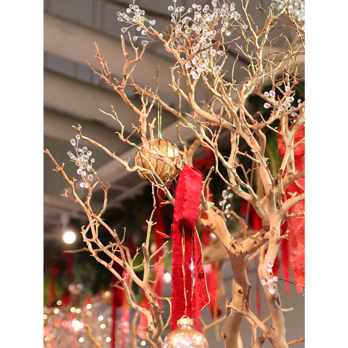 クリスマス大枝/画像2
