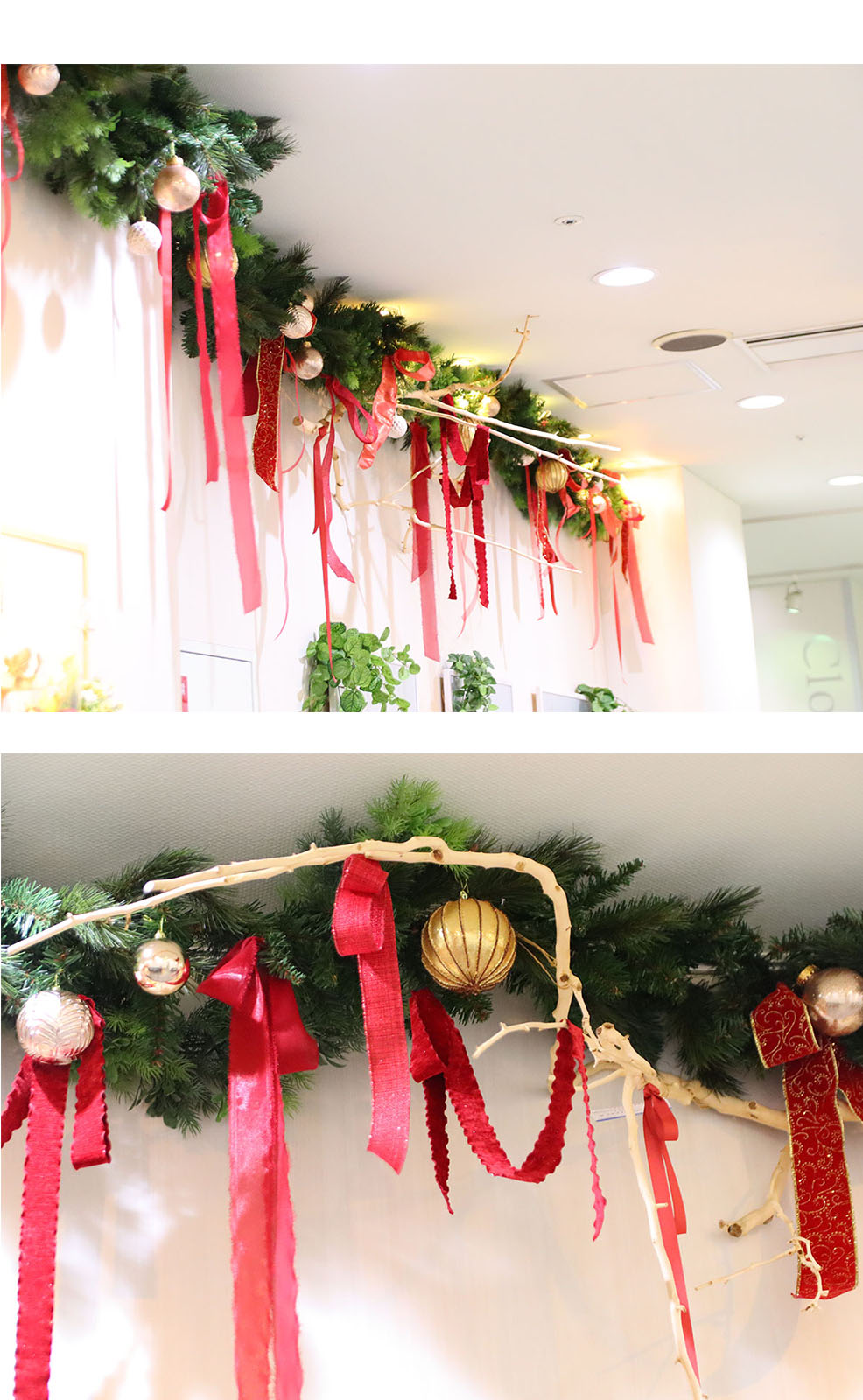 クリスマス大枝/画像4-5_SP