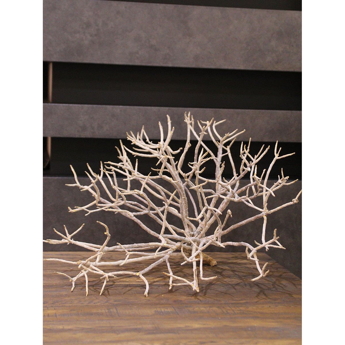 クリスマス大枝/画像6
