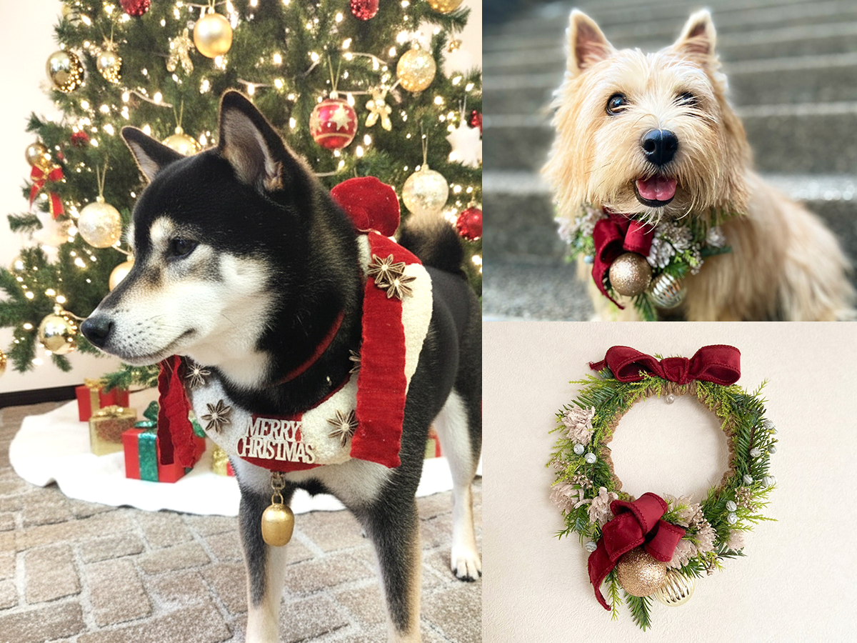 ペットクリスマス