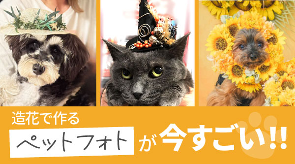 2026総合カタログ