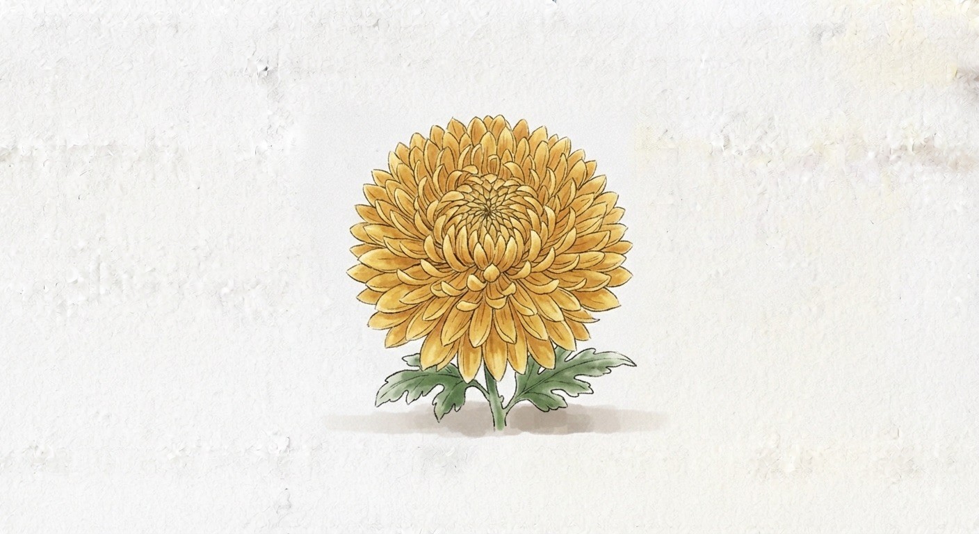 菊