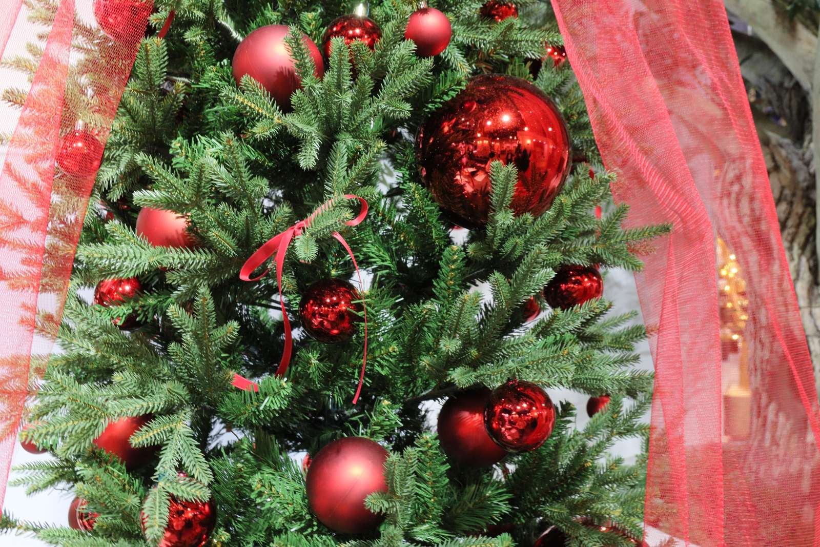 クリスマス売場の様子（原稿掲載写真14）