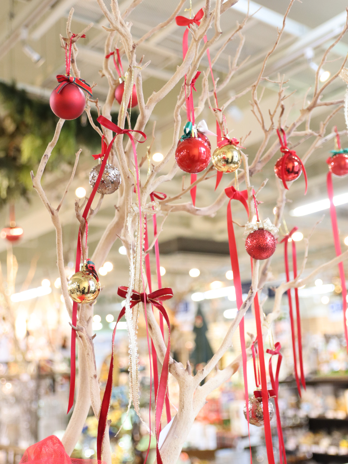 枝の造形を活かして赤いリボンを飾ったクリスマスツリー