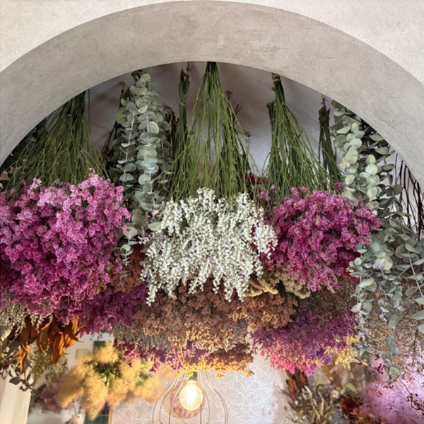 atelier yuu-日々，植物と-